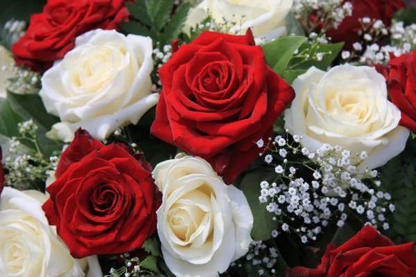 Білі і червоні троянди в букеті — стокове фото