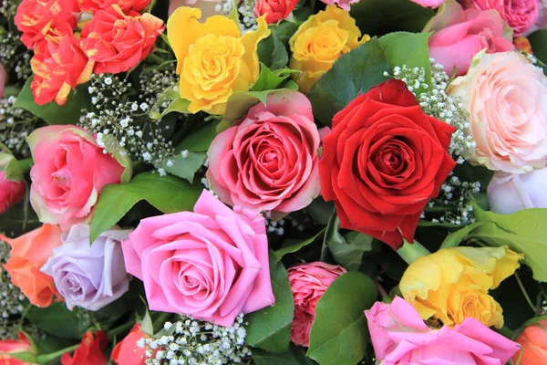 Vícebarevná růže uspořádání — Stock fotografie