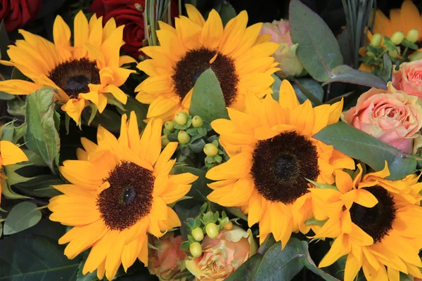 Sunflower and rose arrangement — Stock Photo, Image
