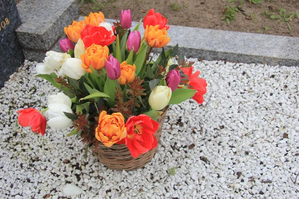 Tulip bouquet in wicker basket — Zdjęcie stockowe