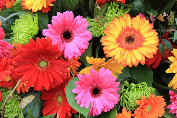 Multicolored gerbera arrangement in vivid colors — Stock Photo, Image