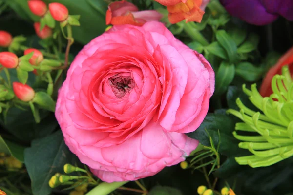 Ενιαία ροζ τριαντάφυλλο — Φωτογραφία Αρχείου