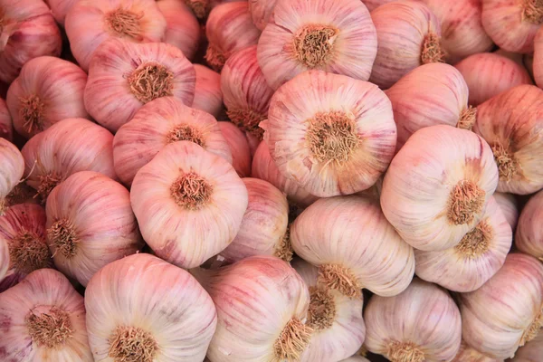Garlic on a French market — Stock Photo, Image