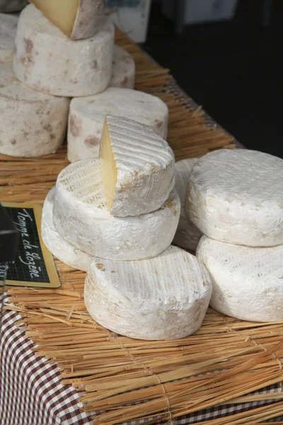 Piyasada peynir — Stok fotoğraf