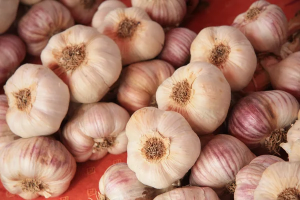 stock image Garlic on a French market