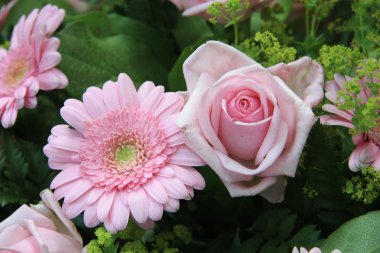 yumuşak pembe Gül ve gerbera