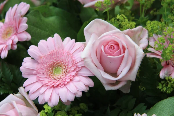Soft pink rose and gerbera — Stock Photo, Image