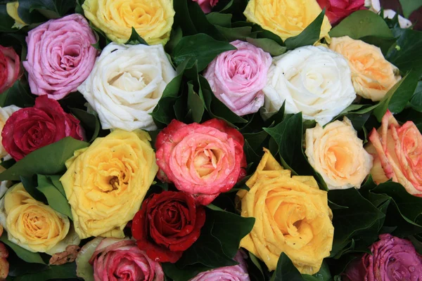 Vícebarevné růže uspořádání po dešťovou sprchou — Stock fotografie