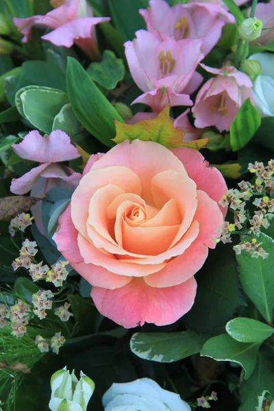 Большая мягкая розовая роза — стоковое фото
