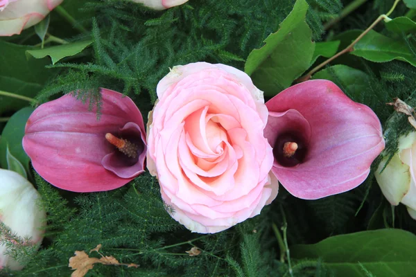 コンニャクとピンクのバラのアレンジメント — ストック写真