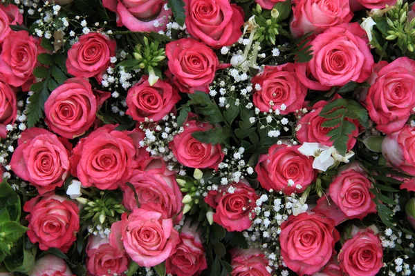 Roze rozen en gypsophila (baby van adem) — Stockfoto