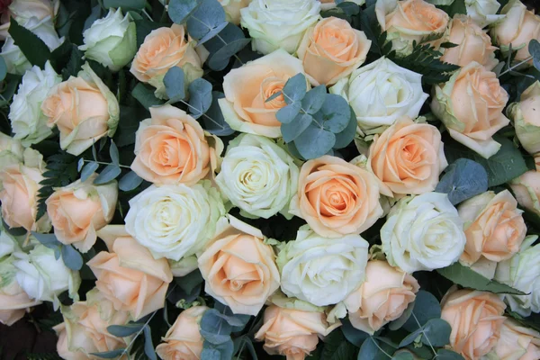 Μαλακό πορτοκαλί και λευκό τριαντάφυλλο ρύθμιση — Φωτογραφία Αρχείου
