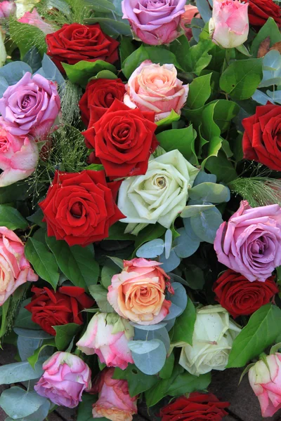 Rosa floreale disposizione in colori vivaci — Foto Stock