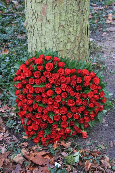 Czerwone róże w kształcie serca — Zdjęcie stockowe