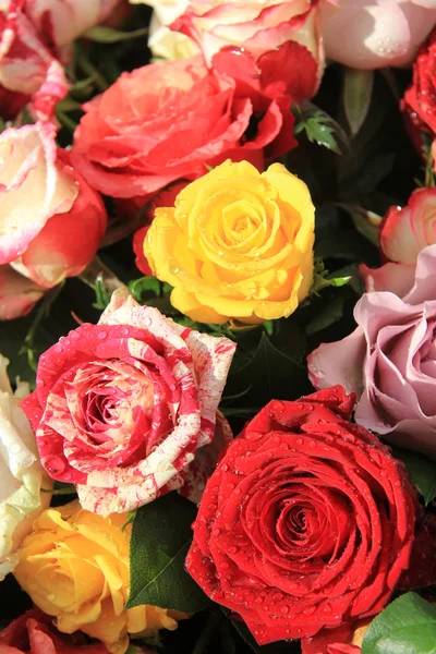 在明亮的颜色混合玫瑰花束 — 图库照片