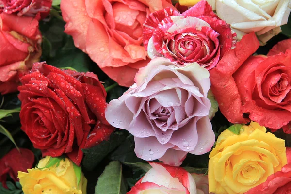 明るい色の混合のバラの花束 — ストック写真