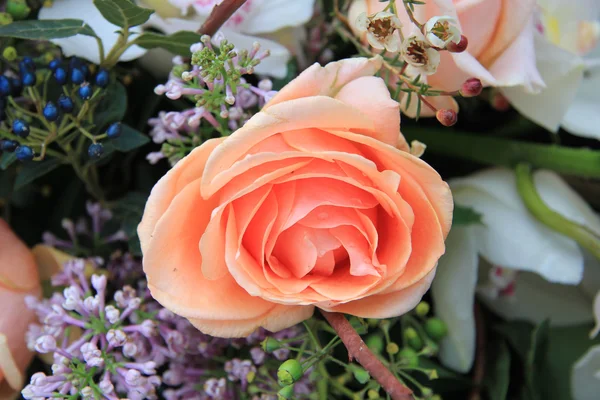 大きなオレンジ色のバラのクローズ アップ — ストック写真