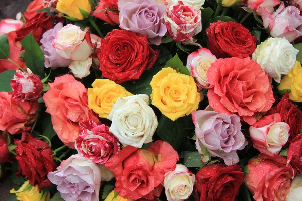 Buquê de rosa mista em cores brilhantes — Fotografia de Stock