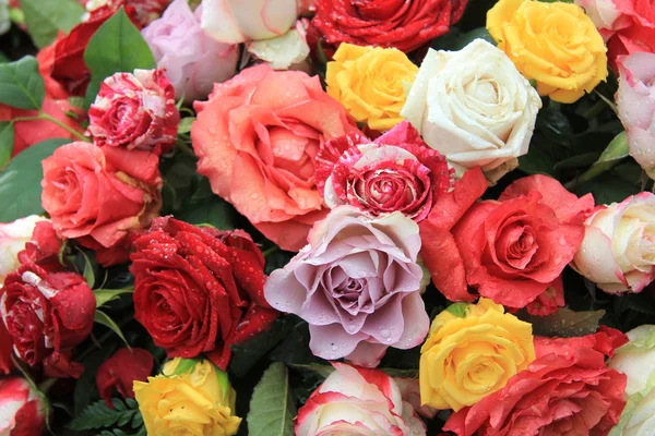 Gemengde roos boeket in felle kleuren — Stockfoto