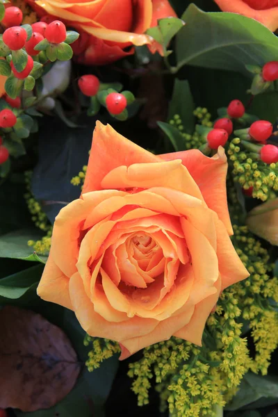 Orange Rose — Stockfoto