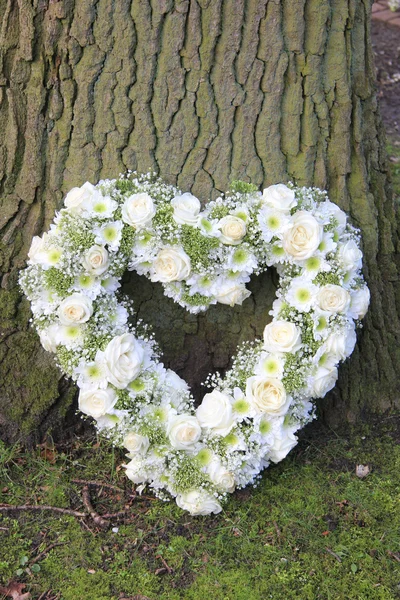 stock image Heart shaped sympathy arrangement near a tree