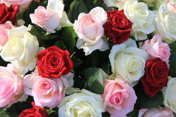 Mixed rose arrangement — Stock Photo, Image