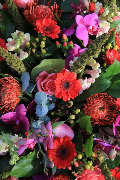 Smíšené aranžování květin v růžové a červené — Stock fotografie
