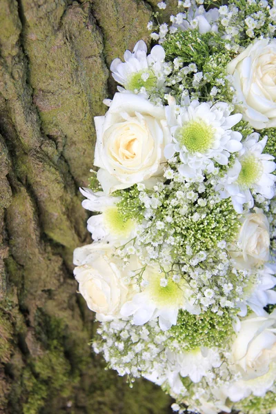 Detail van witte bloemen regeling in de buurt van een boom — Stockfoto
