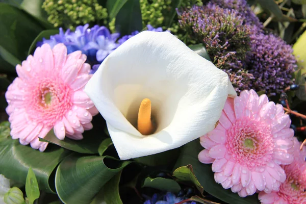 Arum lily and pink gerberas — Stock Photo, Image