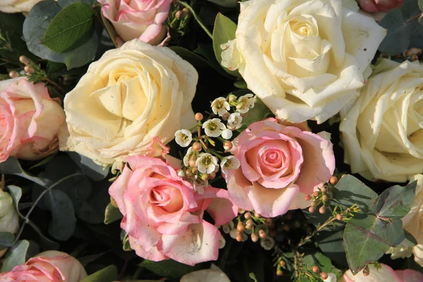 Rosa und weiße Rosen — Stockfoto