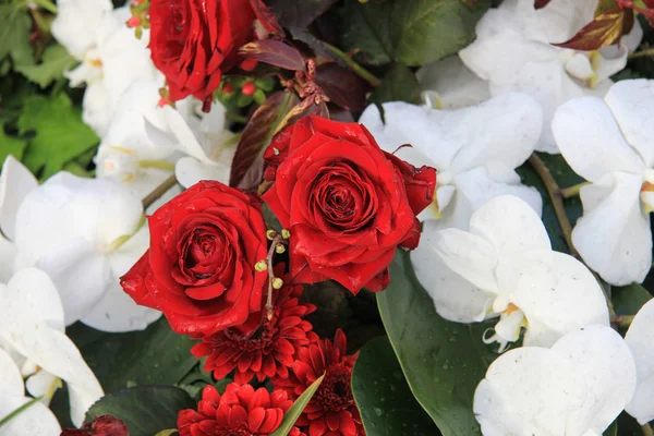 Kırmızı güller ve beyaz orkide — Stok fotoğraf