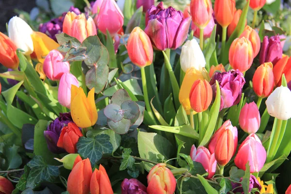 Buquê de tulipas de primavera mista — Fotografia de Stock