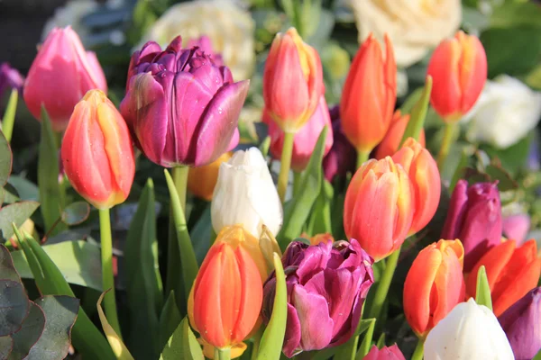 Vegyes tavaszi tulipán csokor — Stock Fotó