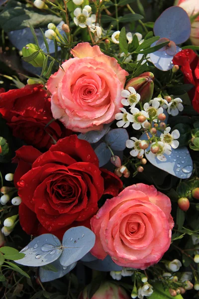Große rote und rosa Rosen — Stockfoto