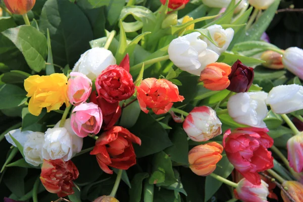 Ramo de tulipanes mixtos primavera — Foto de Stock