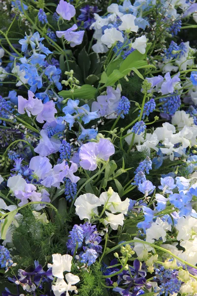 Blumenarrangements in verschiedenen Blautönen — Stockfoto
