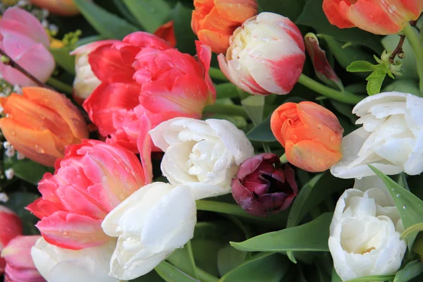 混合的春季郁金香花束 — 图库照片