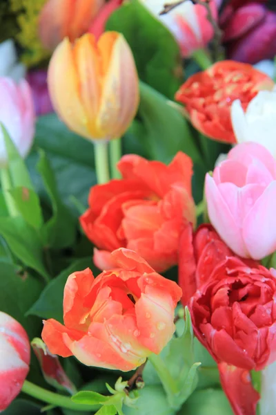 Ramo de tulipanes mixtos primavera — Foto de Stock