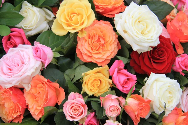 Bouquet de roses aux couleurs vives — Photo