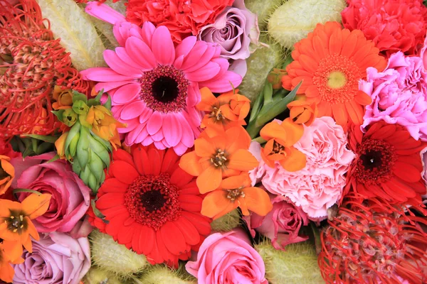 Red, pink and orange flower arrangement — Stock Photo, Image
