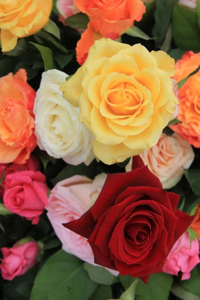 在明亮的颜色的玫瑰花束 — 图库照片