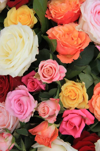 Bouquet de roses aux couleurs vives — Photo