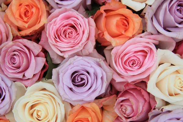 パステル調のバラの結婚式の花 — ストック写真