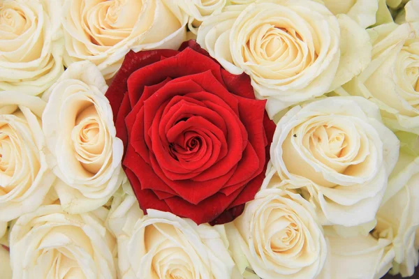 Vermelho e branco rosas arranjo nupcial — Fotografia de Stock