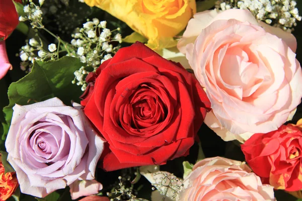 Bukiet róża w jasnych kolorach — Zdjęcie stockowe