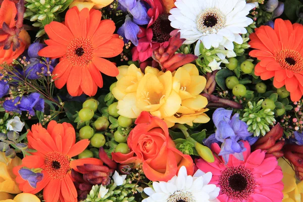 Arreglo floral mixto — Foto de Stock
