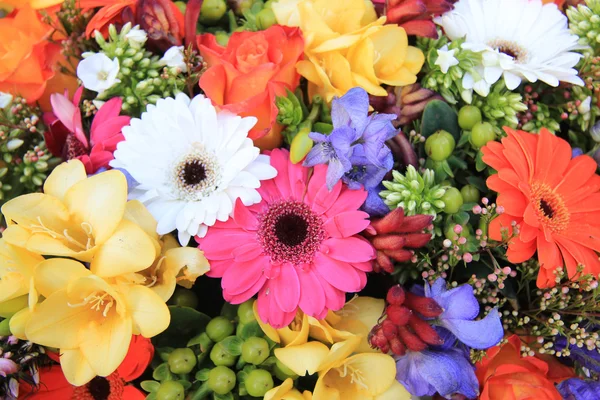 Gemengde floral regeling — Stockfoto