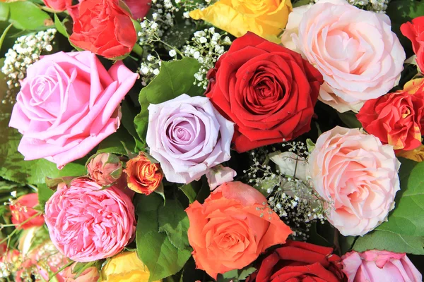 Mazzo di rose dai colori vivaci — Foto Stock