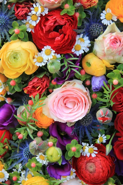 Smíšené letní květiny — Stock fotografie