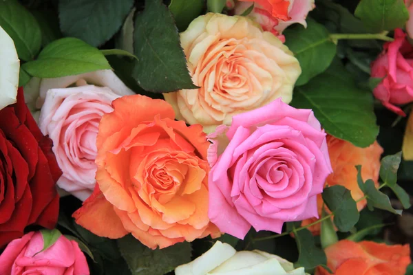 밝은 색상의 장미 꽃다발 — 스톡 사진